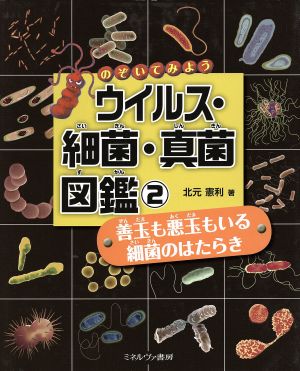 のぞいてみよう ウイルス・細菌・真菌図鑑(2) 善玉も悪玉もいる 細菌のはたらき