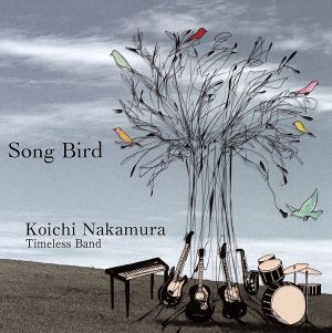 Song Bird