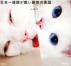 日本一寝顔が酷い絶世の美猫セツちゃん