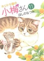 キジトラ猫の小梅さん(11) ねこぱんちC