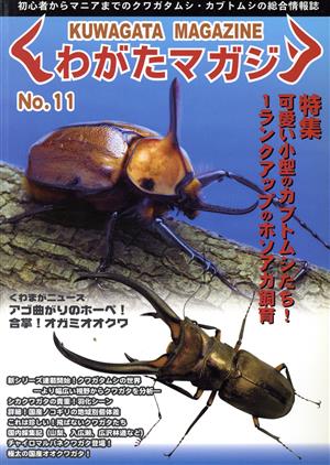 くわがたマガジン(No.11)