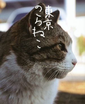 東京のらねこ