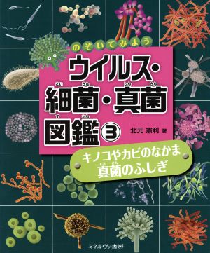 のぞいてみよう ウイルス・細菌・真菌図鑑(3) キノコやカビのなかま 真菌のふしぎ