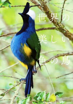 世界の美しい色の鳥