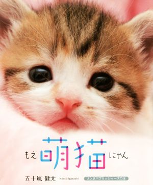 萌猫 かわいい猫たっぷり集めました