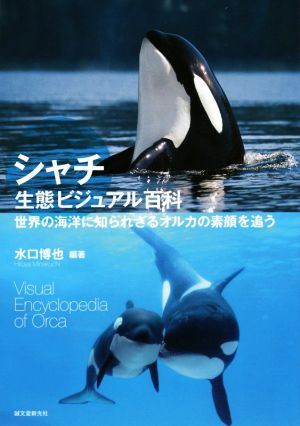 シャチ生態ビジュアル百科世界の海洋に知られざるオルカの素顔を追う