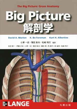 Big Picture 解剖学