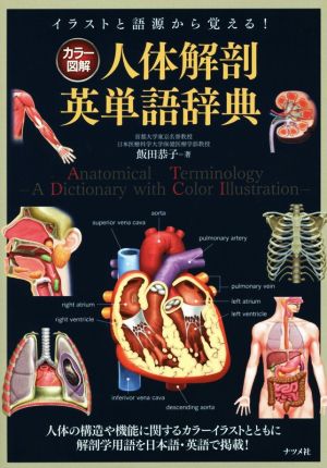 カラー図解 人体解剖英単語辞典