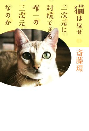 猫はなぜ二次元に対抗できる唯一の三次元なのか