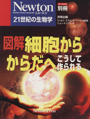 図解 細胞からからだへ こうして作られる ニュートンムック 21世紀の生物学Newton別冊