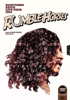 KAZUYOSHI SAITO LIVE TOUR 2014“Rumble Horses