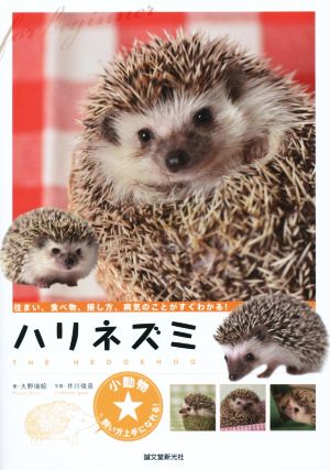 ハリネズミ 小動物飼い方上手になれる！