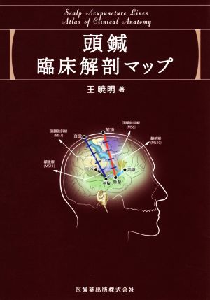 頭鍼臨床解剖マップ