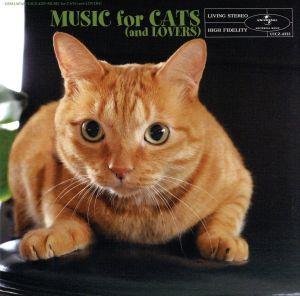 猫と音楽の休日