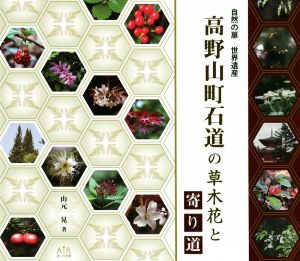 高野山町石道の草木花と寄り道 自然の扉世界遺産