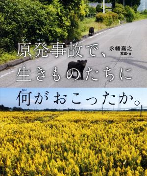 原発事故で、生きものたちに何がおこったか。