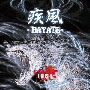 疾風-HAYATE-