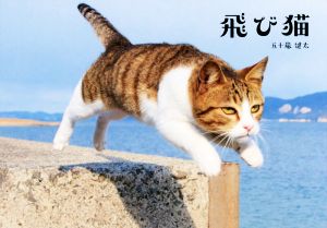 飛び猫