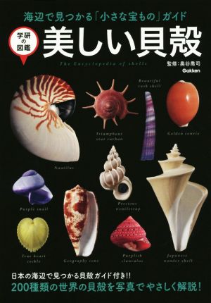 美しい貝殻 海辺で見つかる「小さな宝もの」ガイド 学研の図鑑