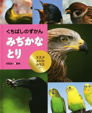 くちばしのずかん みぢかなとり スズメ・メジロ・カラスほか