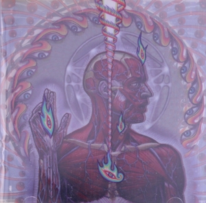 【輸入盤】Lateralus