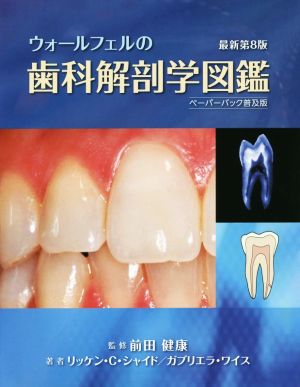 ウォールフェルの歯科解剖学図鑑 ペーパーバック普及版