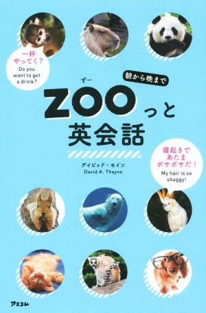 ZOOっと英会話朝から晩まで