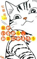 猫がいるから、お家にかえろう オフィスユーC