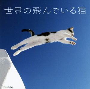 世界の飛んでいる猫