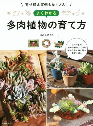 寄せ植え実例もたくさん！よくわかる多肉植物の育て方