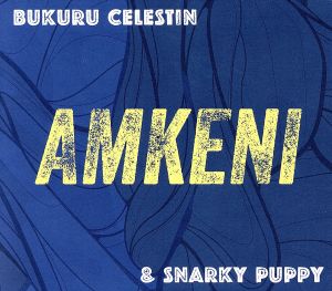 AMKENI