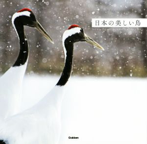 写真集 日本の美しい鳥