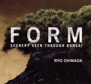 FORM SCENERY SEEN THROUGH BONSAI