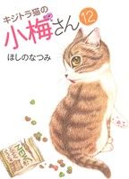 キジトラ猫の小梅さん(12) ねこぱんちC