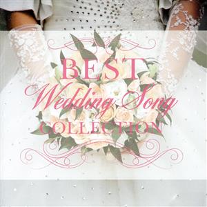 Best Wedding Song Collection