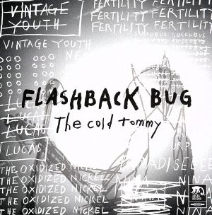 FLASHBACK BUG