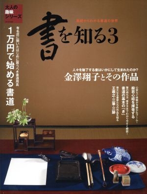 書を知る(3)金澤翔子とその作品サンエイムック 大人の趣味シリーズ