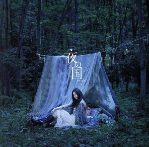 夜の国(初回限定盤)(DVD付)