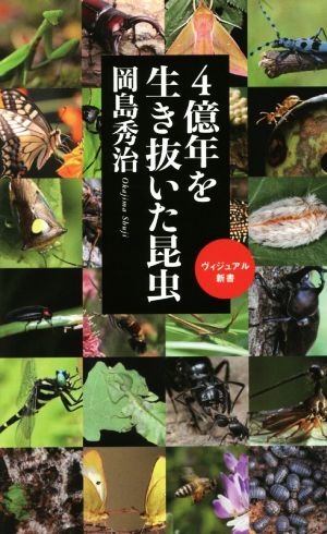 4億年を生き抜いた昆虫 ベスト新書480