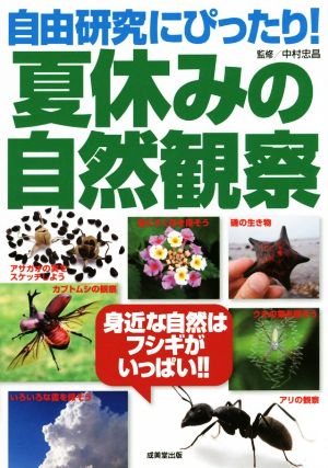 自由研究にぴったり！夏休みの自然観察