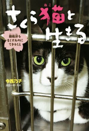 さくら猫と生きる 殺処分をなくすためにできること ポプラ社ノンフィクション23