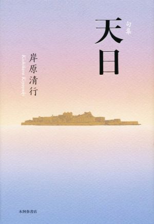 句集 天日 平成の100人叢書49