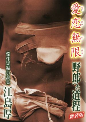 傑作短編小説集 愛恋無限 野郎への道程 新装版