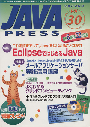 JAVA PRESS(Vol.30)