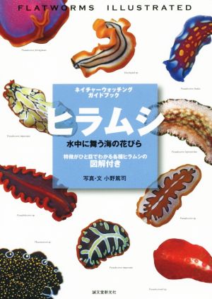 ヒラムシ 水中に舞う海の花びら 特徴がひと目でわかる各種ヒラムシの図解付き ネイチャーウォッチングガイドブック