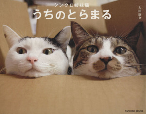 シンクロ姉妹猫 うちのとらまるTATSUMI MOOK