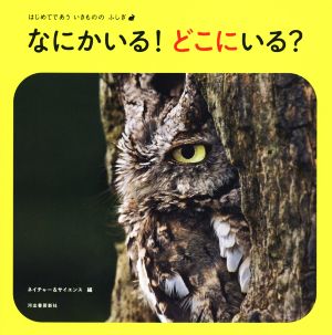 なにかいる！どこにいる？はじめてであう いきものの ふしぎ