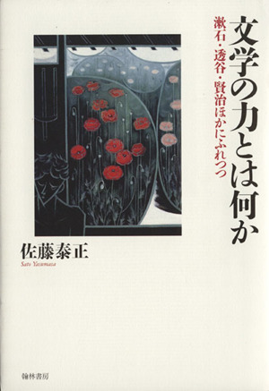 文学の力とは何か 漱石・透谷・賢治ほかにふれつつ