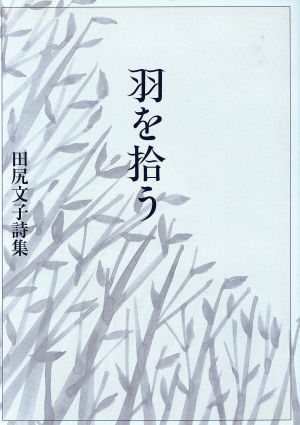 田尻文子詩集 羽を拾う