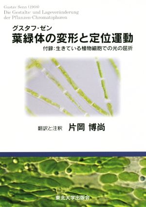 葉緑体の変形と定位運動